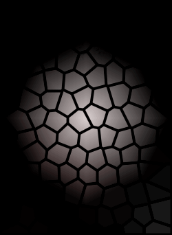 backlight1