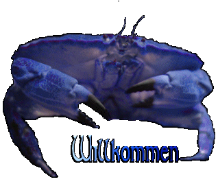 dancekrebs